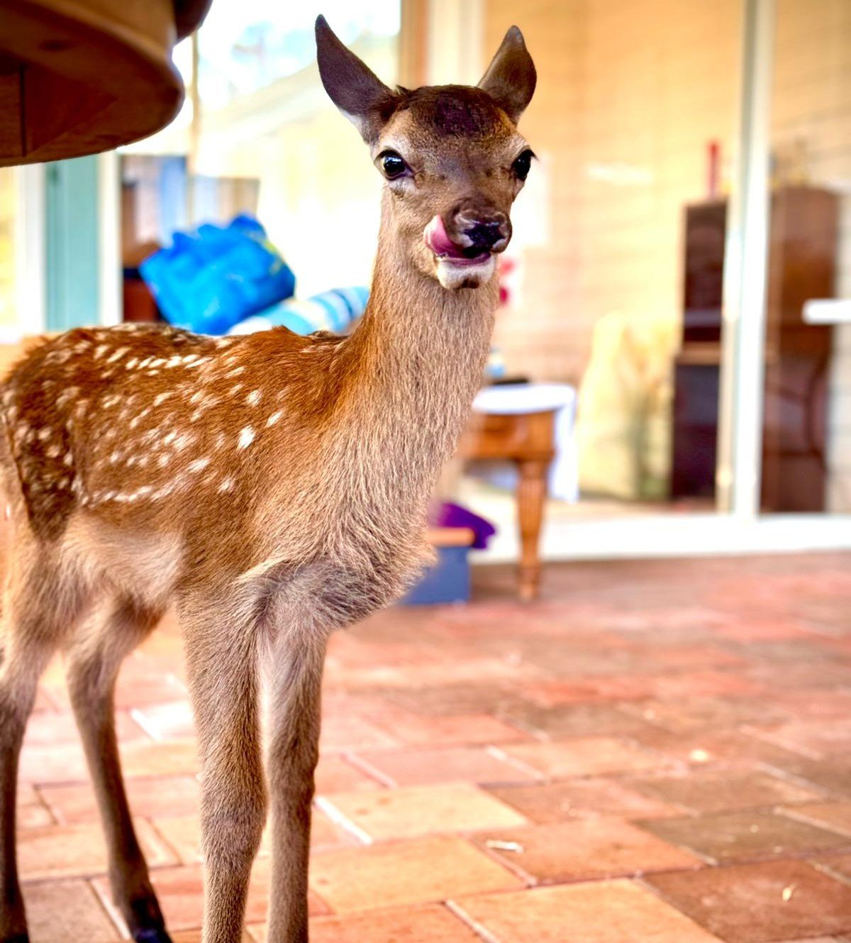 Rani — When Protection Meant Standing Firm